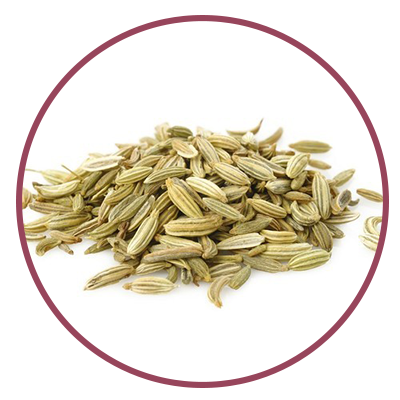 Fennel seed extract