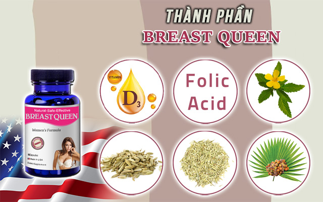 thành phần breast queen
